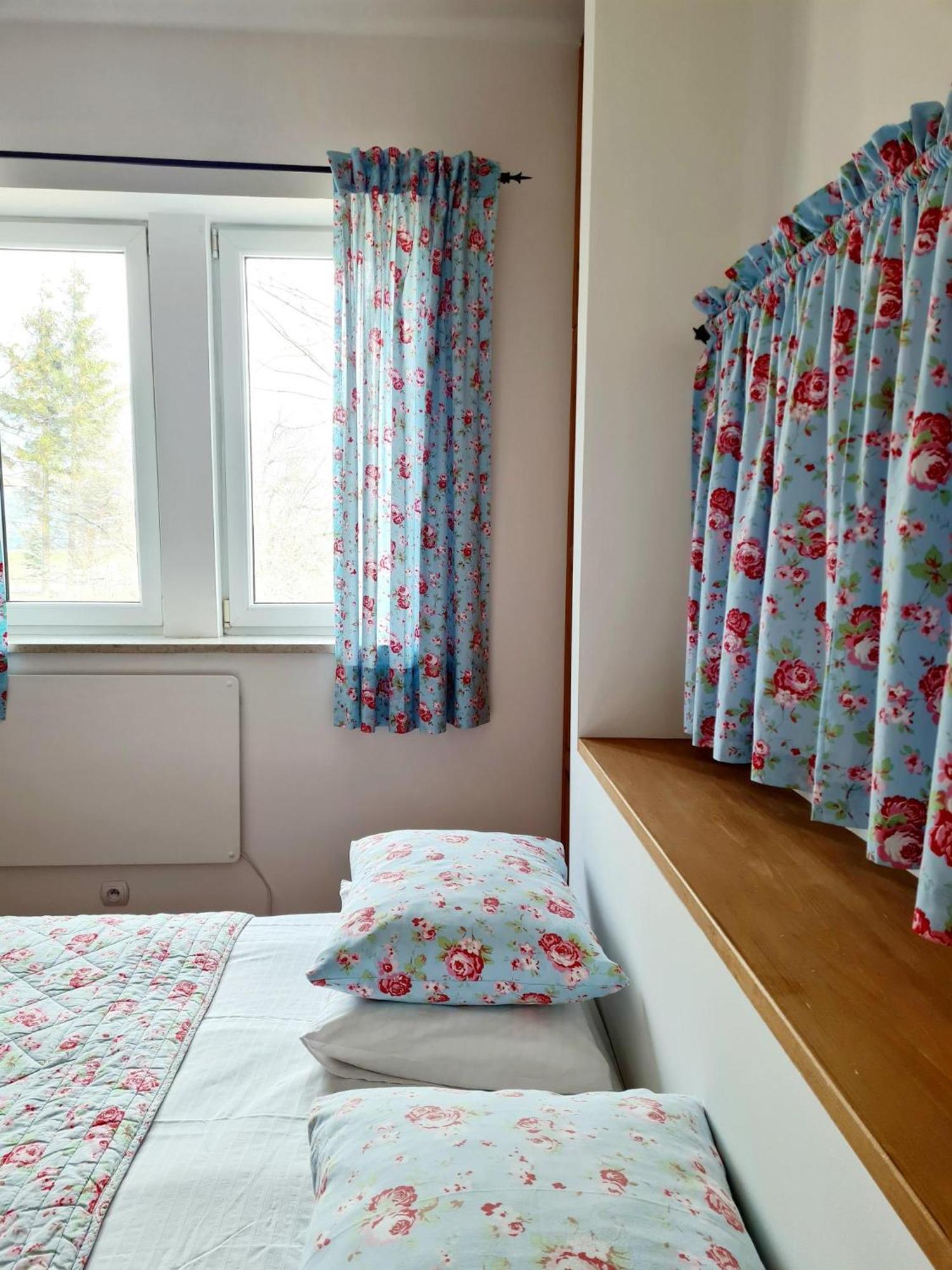 Villa Dorota ザコパネ エクステリア 写真